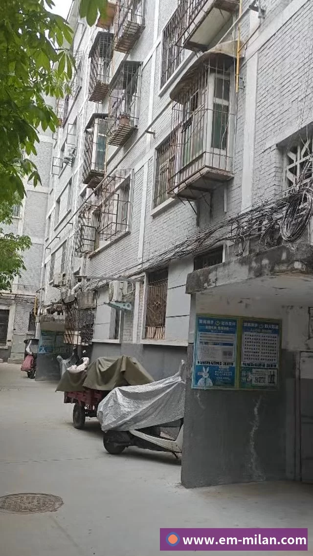 官网：0731-82995386 售后：400-87585775 首页 AI体育中考/高考